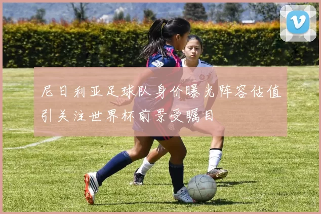 尼日利亚足球队身价曝光阵容估值引关注世界杯前景受瞩目