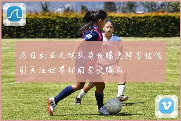 尼日利亚足球队身价曝光阵容估值引关注世界杯前景受瞩目