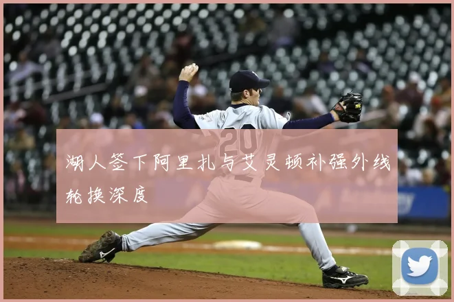 湖人签下阿里扎与艾灵顿补强外线轮换深度