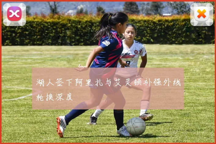 湖人签下阿里扎与艾灵顿补强外线轮换深度